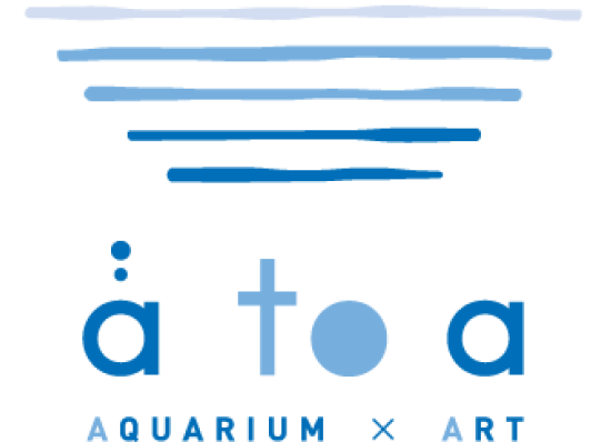 átoa AQUARIUM × ART