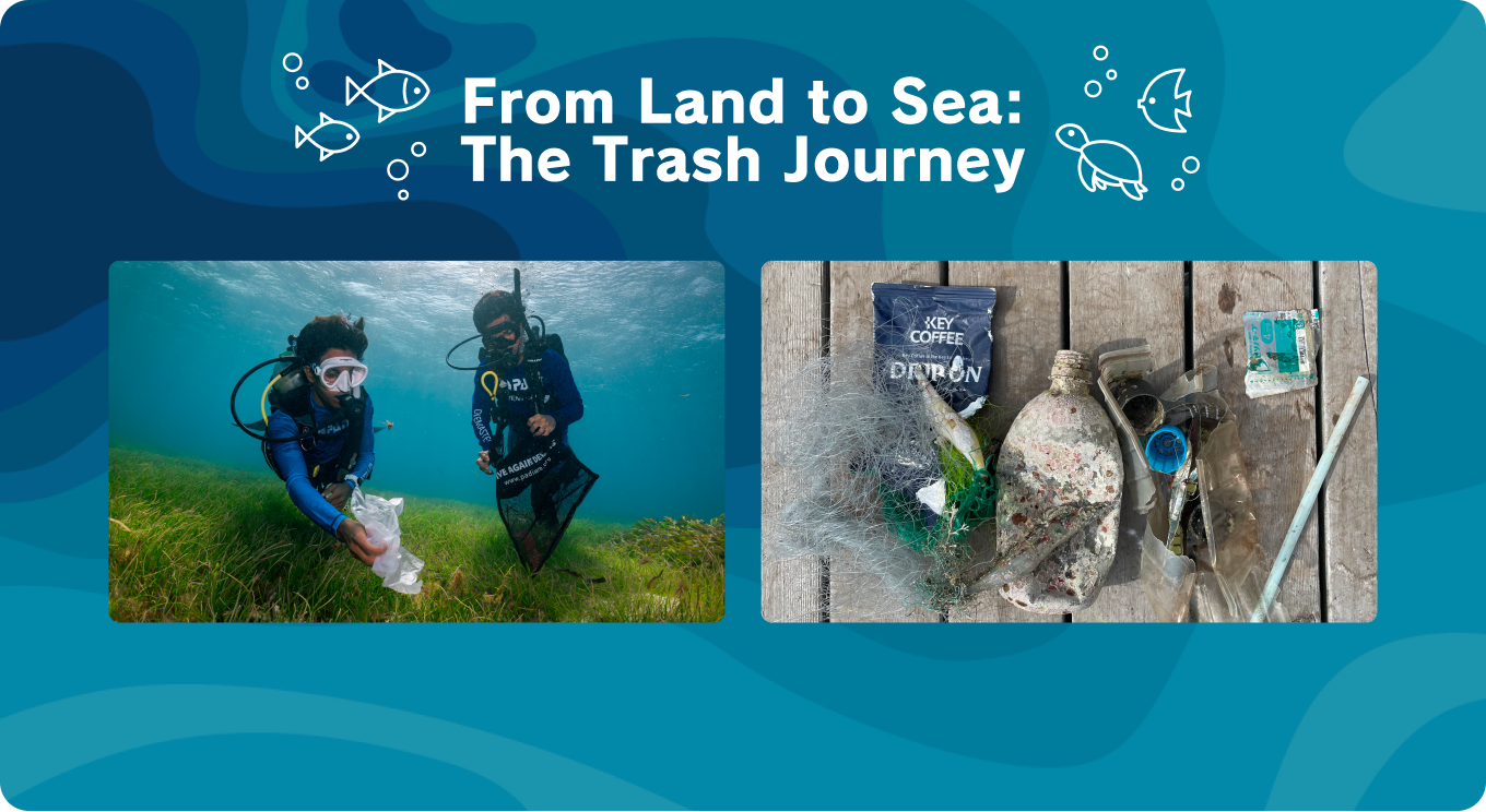 From Land to Sea: The Trash Journey